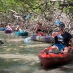 Mangrove Tunnel Kayak Tour To Shell Key - St. Pete, FL - An In-Depth Look at the Kayak Tour Experience