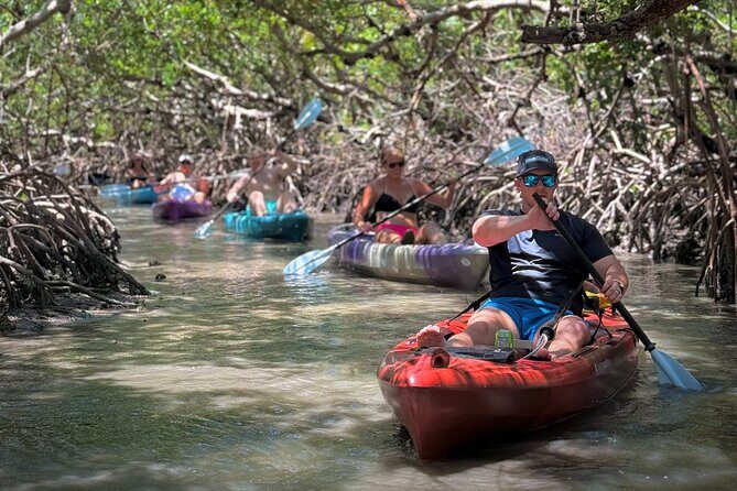 Mangrove Tunnel Kayak Tour To Shell Key - St. Pete, FL - An In-Depth Look at the Kayak Tour Experience