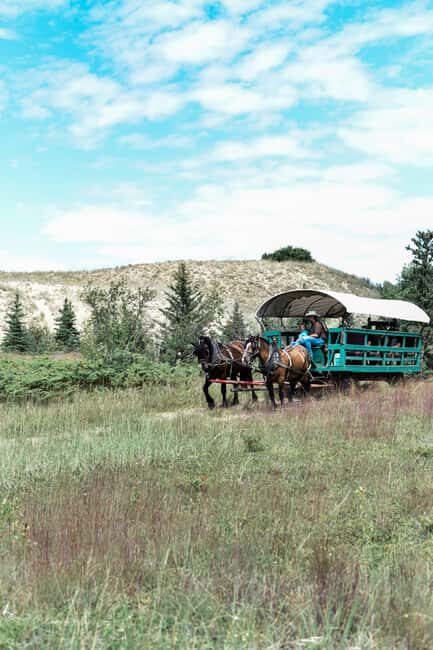 Manitoba: Horse-Drawn Wagon Ride in Spruce Woods Park - Exploring the Experience in Detail