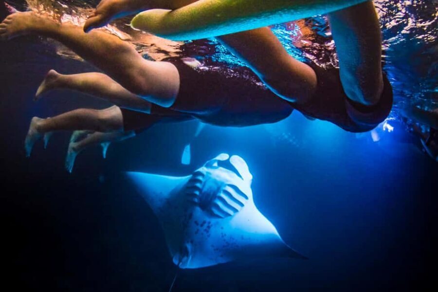 Manta Ray Snorkel in Kailua-Kona with Hot Cocoa - Authentic Encounters and Real Guest Feedback