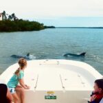 Marco Island: Private Shelling & Dolphin Excursion - Exploring the 10,000 Islands: What to Expect