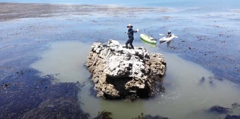 Marina Way: Kayaking Adventure with TV Star Gary Golding - The Sum Up: Who Will Love This Experience?