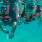 Marine Turtle Snorkeling Private Tour - Frequently Asked Questions