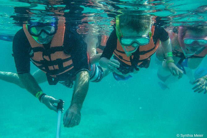 Marine Turtle Snorkeling Private Tour - Frequently Asked Questions