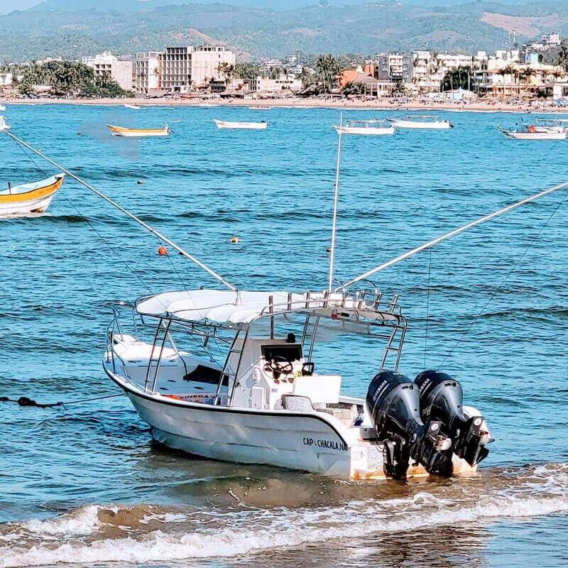 Marlin fishing in guayabitos - Who Will Love This Tour?