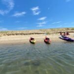 Mashpee: Paddle Board & Kayak Rentals - Final Thoughts: Who Should Consider This?