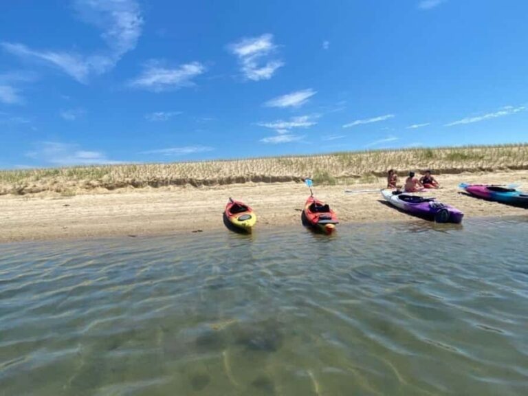 Mashpee: Paddle Board & Kayak Rentals - Final Thoughts: Who Should Consider This?