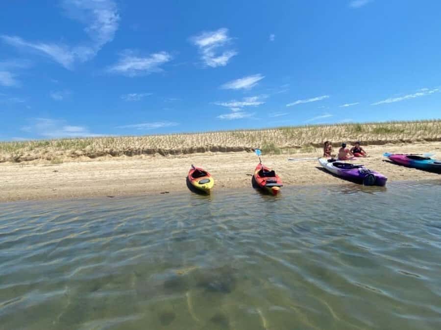Mashpee: Paddle Board & Kayak Rentals - Final Thoughts: Who Should Consider This?