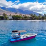 Maui and Lanai: Snorkel and Dolphin Adventure Tour - Value and Cost Analysis