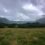 Maui: East Side Hiking Tour - Who Should Consider This Tour?