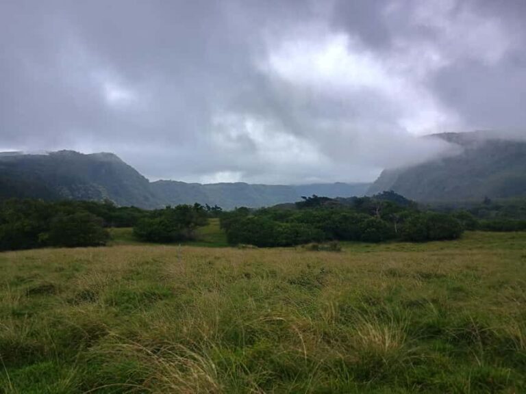 Maui: East Side Hiking Tour - Who Should Consider This Tour?