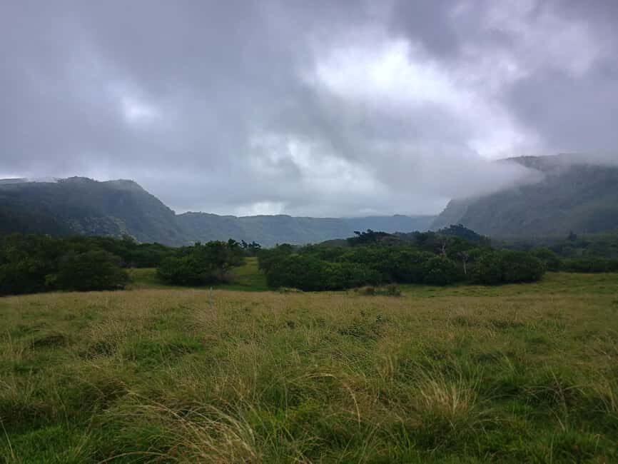 Maui: East Side Hiking Tour - Who Should Consider This Tour?