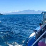 Maui: Eco-Raft Dolphin Watch Tour with Snacks - Authentic Insights from Reviews