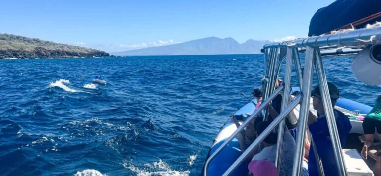Maui: Eco-Raft Dolphin Watch Tour with Snacks - Authentic Insights from Reviews