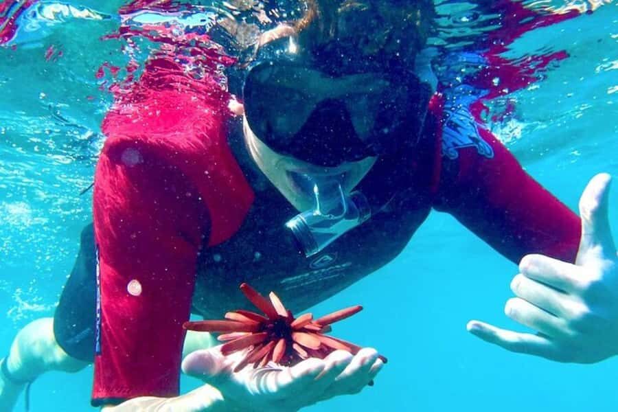 Maui: Guided Snorkeling for Beginners with Flotation Wetsuit - Who Is This Tour Best For?
