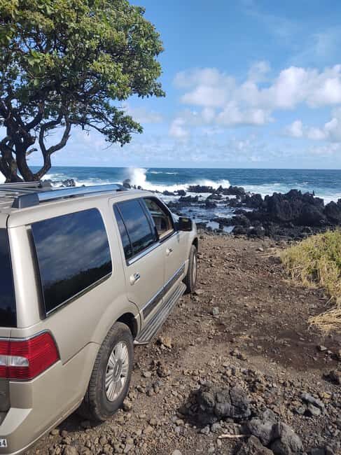 Maui: Halfway to Hana Black Sand Beach & Turtles Tour - Final Thoughts