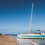 Maui: Kaanapali Beach 5-hour Snorkel w/ BBQ Lunch & Open Bar - Potential Drawbacks or Considerations