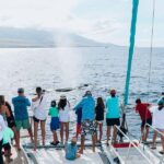Maui: Ka'anapali Discount Whale Watch - Beach Loading Vessel - Exploring the Experience in Depth