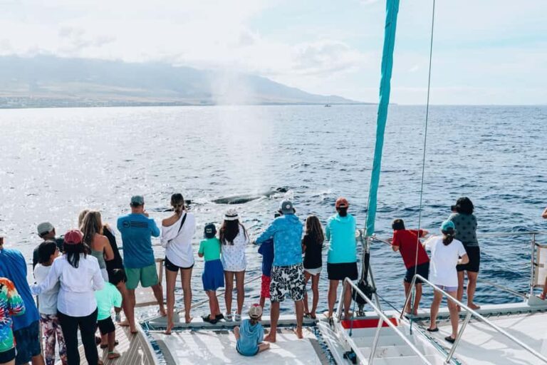 Maui: Ka'anapali Discount Whale Watch - Beach Loading Vessel - Exploring the Experience in Depth