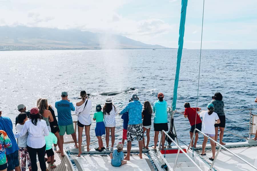 Maui: Ka'anapali Discount Whale Watch - Beach Loading Vessel - Exploring the Experience in Depth