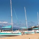 Maui: Kaanapali Dolphin Watching Boat Trip with Lunch - FAQ