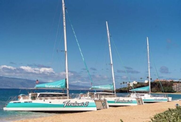 Maui: Kaanapali Dolphin Watching Boat Trip with Lunch - FAQ