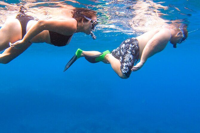 Maui-Lanai EcoRaft Tour: Snorkel or Dolphin Watch (Semi-Private) - What to Expect: A Step-by-Step Breakdown