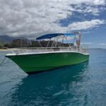 Maui: Lanai Island Snorkeling Tour with Snacks & Drinks - A Deep Dive into the Experience