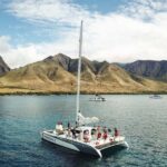 Maui: Midday Sail with the Whales Malaea Harbor - What You Can Expect During the Trip
