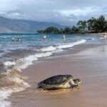 Maui Mini Retreat - FAQs