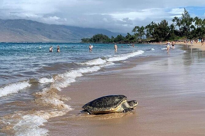 Maui Mini Retreat - FAQs