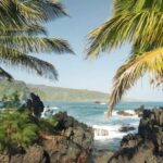 Maui: Private Road to Hana Rainforest and Waterfall Tour - Who Would Love This Tour?