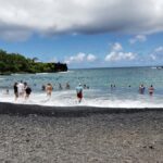 Maui : Road to Hana Tour w/ Pickup near Cruise Port - Who Should Consider This Tour?
