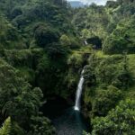 Maui Sea Turtles & Waterfalls: Full-Day Road to Hana Tour - The Value of This Tour