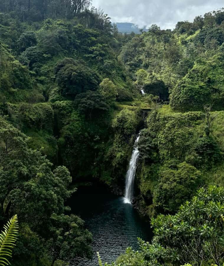 Maui Sea Turtles & Waterfalls: Full-Day Road to Hana Tour - The Value of This Tour