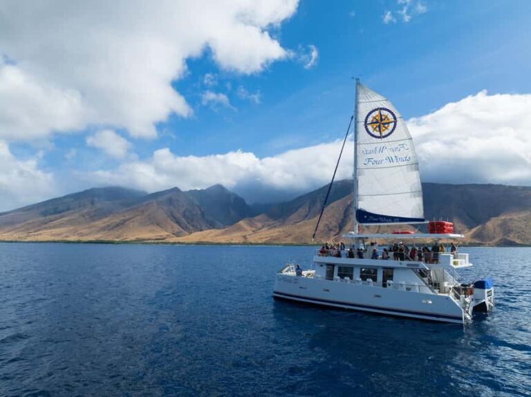 Maui: Snorkel Tour to Coral Gardens - Why It’s Worth the Price