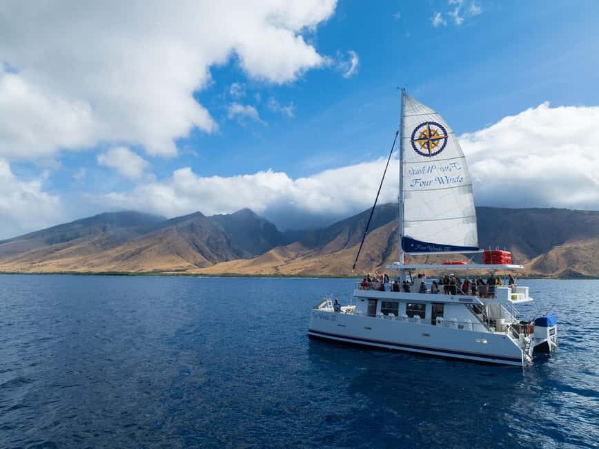 Maui: Snorkel Tour to Coral Gardens - Why It’s Worth the Price