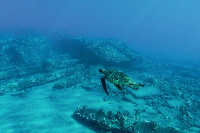 Maui Snorkeling Boat Tour to Turtle Town Aboard Quicksilver - Snorkeling at Turtle Town and Coral Gardens
