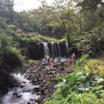 Maui Tour : Road to Hana Day Trip from Lahaina with Pick-up - Final Thoughts: Is It Worth It?