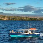 Mauna Kea 3hr Two Stop Sealife Snorkel Adventure - What’s Included and How It Works