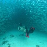 Mayan Adventure from Playa del Carmen - Why This Tour Is a Great Choice