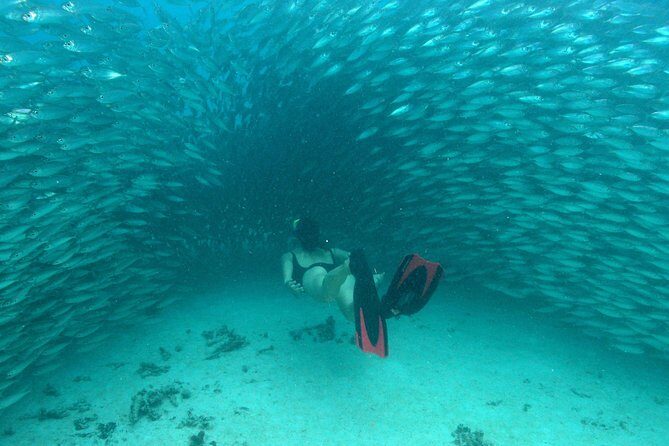 Mayan Adventure from Playa del Carmen - Why This Tour Is a Great Choice