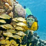 Mayan Adventure Snorkeling Tour from Playa del Carmen or Riviera Maya - What’s Included and What to Expect