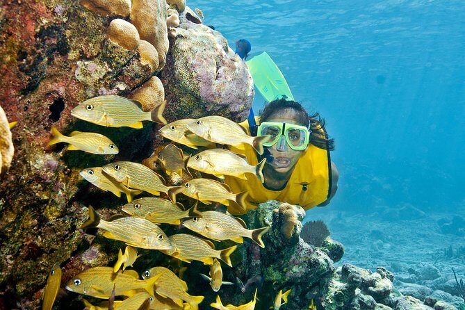 Mayan Adventure Snorkeling Tour from Playa del Carmen or Riviera Maya - What’s Included and What to Expect