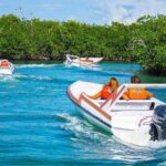 Mayan Culture and Speedboat Adventure in Cancun - Navigating the Mangroves and Lagoon