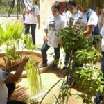 Mayan Roots Camino Real "Pomuch, Hecelchakán and Calkiní Becal" - Who Is This Tour Best For?