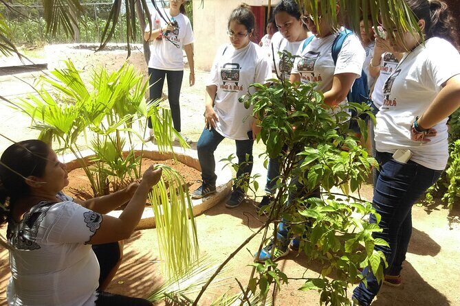 Mayan Roots Camino Real "Pomuch, Hecelchakán and Calkiní Becal" - Who Is This Tour Best For?