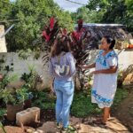 Mayas of Yesterday & Today: Tekit + Mayapan - Who Will Enjoy This Tour?