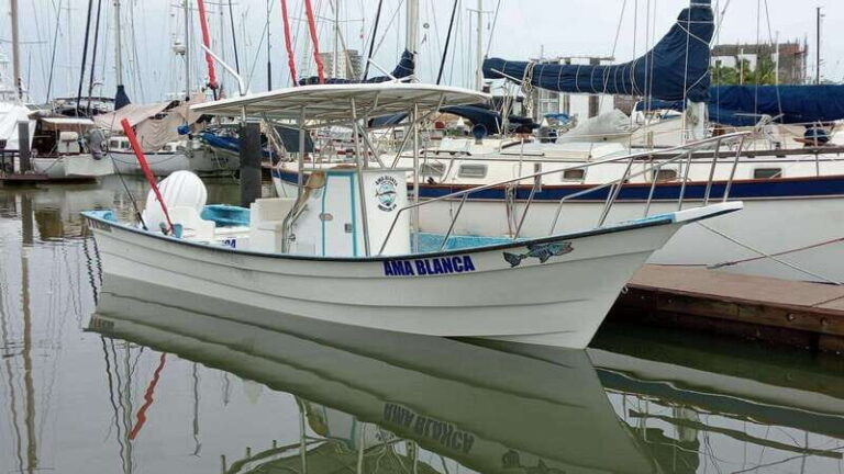 Mazatlan 3 Islands Snorkeling and Bird Watching Tour - What’s Included and What’s Not