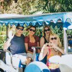 Mazatlan City Tour by Traditional Open Air Vehicle Pulmonia - Price and Value